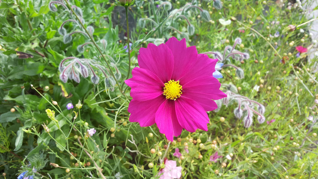 20141007_144054.jpg