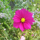 20141007_144054.jpg
