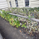 file6he980ygk6t117nshfm4.jpg
