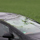 normal_03052010vusurheimffaktivnews_19.jpg