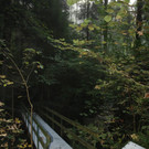 Br__cke Ruine-Alt-Hofen-Weg neu 02-10-2014 _2_.JPG