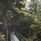 Br__cke Ruine-Alt-Hofen-Weg neu 02-10-2014 _11_.JPG