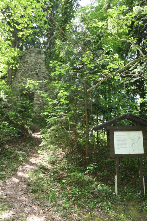 Ruine ALT-HOFEN oder ALT-LOCHEN Symbolfoto 2014 _1_.JPG