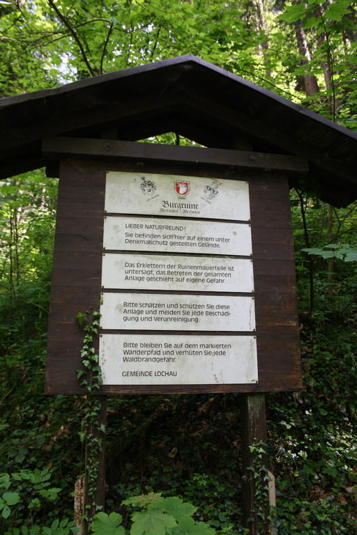 Ruine ALT-HOFEN oder ALT-LOCHEN Symbolfoto 2014 _12_.JPG