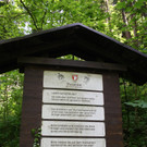 Ruine ALT-HOFEN oder ALT-LOCHEN Symbolfoto 2014 _12_.JPG