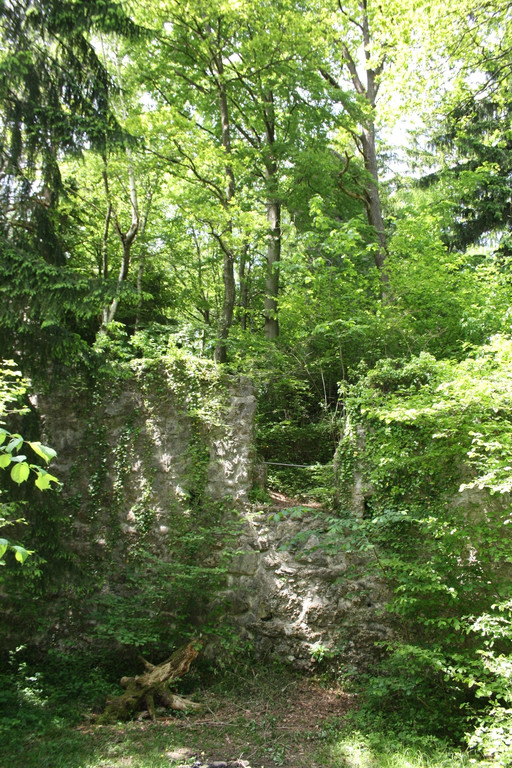 Ruine ALT-HOFEN oder ALT-LOCHEN Symbolfoto 2014 _2_.JPG