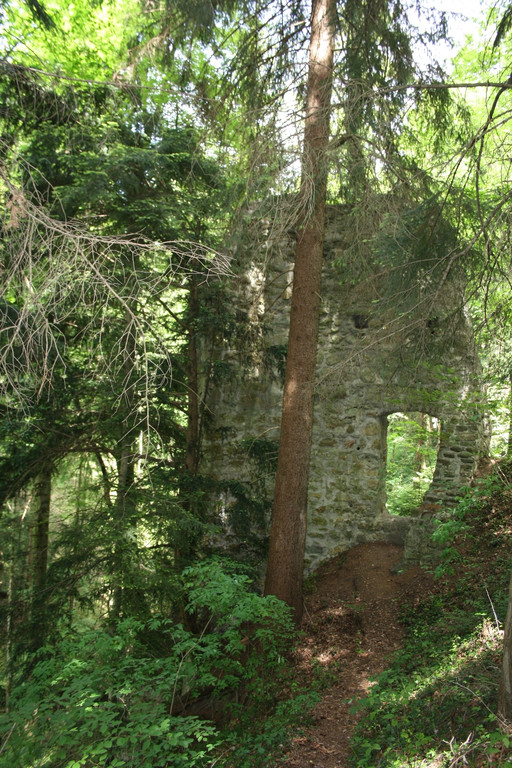 Ruine ALT-HOFEN oder ALT-LOCHEN Symbolfoto 2014 _10_.JPG