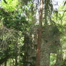 Ruine ALT-HOFEN oder ALT-LOCHEN Symbolfoto 2014 _10_.JPG