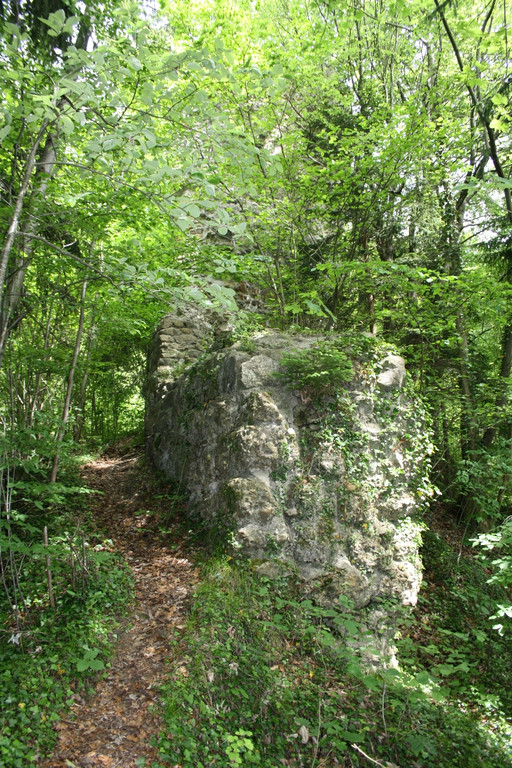 Ruine ALT-HOFEN oder ALT-LOCHEN Symbolfoto 2014 _4_.JPG