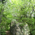 Ruine ALT-HOFEN oder ALT-LOCHEN Symbolfoto 2014 _4_.JPG