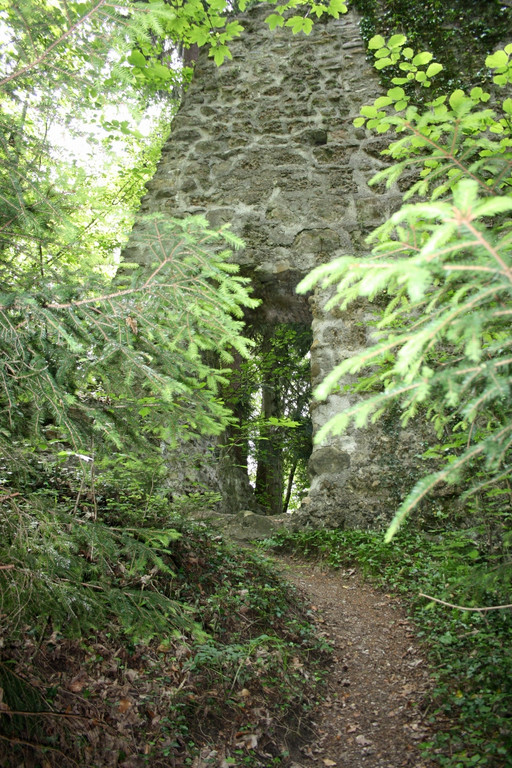 Ruine ALT-HOFEN oder ALT-LOCHEN Symbolfoto 2014 _3_.JPG