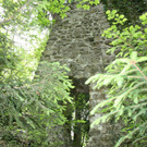 Ruine ALT-HOFEN oder ALT-LOCHEN Symbolfoto 2014 _3_.JPG