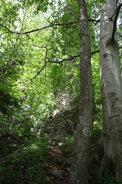 Ruine ALT-HOFEN oder ALT-LOCHEN Symbolfoto 2014 _6_.JPG