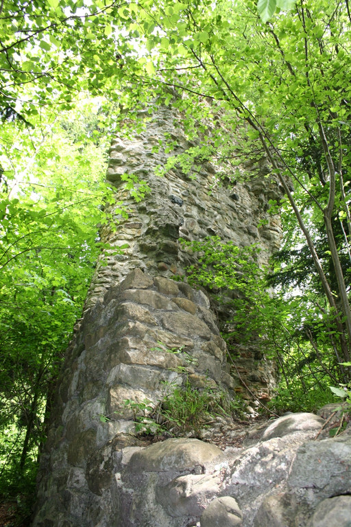 Ruine ALT-HOFEN oder ALT-LOCHEN Symbolfoto 2014 _5_.JPG