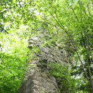 Ruine ALT-HOFEN oder ALT-LOCHEN Symbolfoto 2014 _5_.JPG