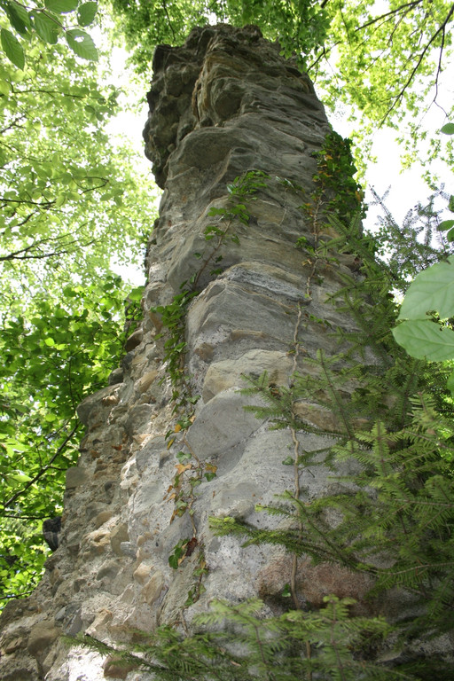 Ruine ALT-HOFEN oder ALT-LOCHEN Symbolfoto 2014 _7_.JPG