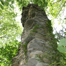 Ruine ALT-HOFEN oder ALT-LOCHEN Symbolfoto 2014 _7_.JPG
