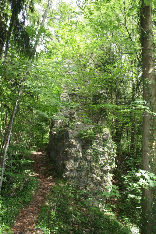 Ruine ALT-HOFEN oder ALT-LOCHEN Symbolfoto 2014 _9_.JPG