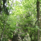 Ruine ALT-HOFEN oder ALT-LOCHEN Symbolfoto 2014 _9_.JPG