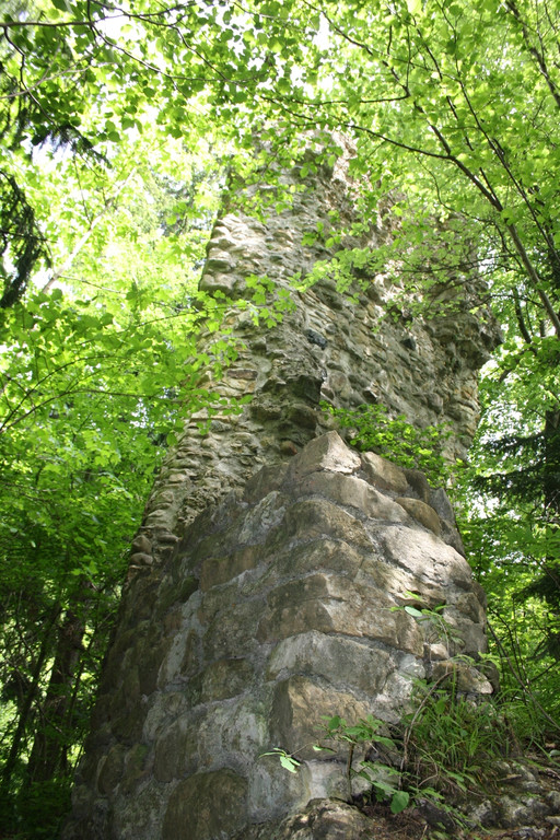 Ruine ALT-HOFEN oder ALT-LOCHEN Symbolfoto 2014 _8_.JPG