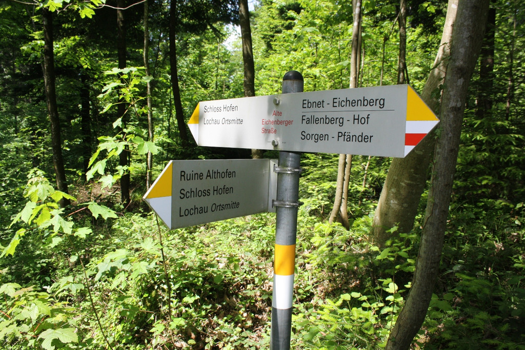 Ruine ALT-HOFEN oder ALT-LOCHEN Symbolfoto 2014 _11_.JPG