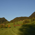 DSC_3459.jpg