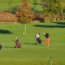 DSC_3461.jpg