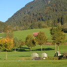 DSC_3492.jpg