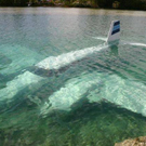 plane-crash-4.jpg