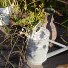 DSC_3539.jpg