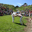IMG_3249.JPG