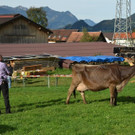 DSC_3822.jpg