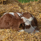 DSC_3906.jpg