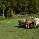 DSC_4040.jpg