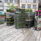 DSCN0711.JPG