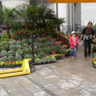 DSCN0713.JPG