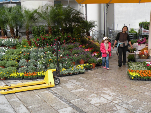 DSCN0713.JPG