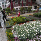 DSCN0718.JPG