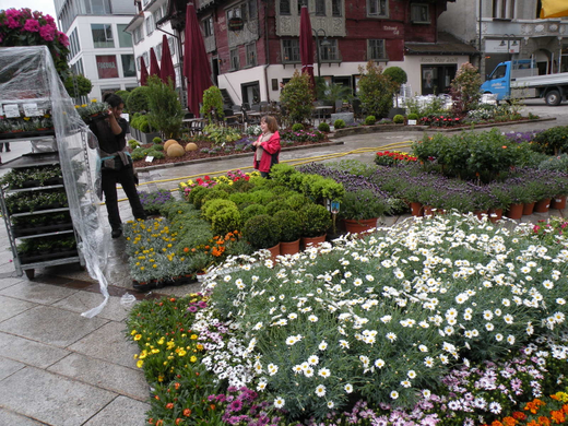 DSCN0718.JPG