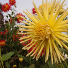PA116745.JPG
