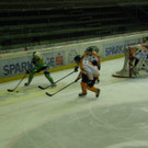 P2090015.JPG
