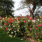 PA116760.JPG