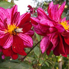 PA116767.JPG