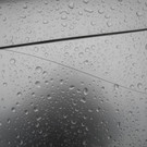 100NIKON_ DSCN1236.JPG