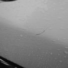 100NIKON_ DSCN1246.JPG