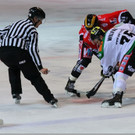 21 - Kopie.jpg