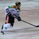 36 - Kopie.jpg