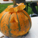 K__rbisfest_2014_069.jpg