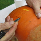 K__rbisfest_2014_091.jpg