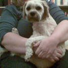 Bild035.jpg